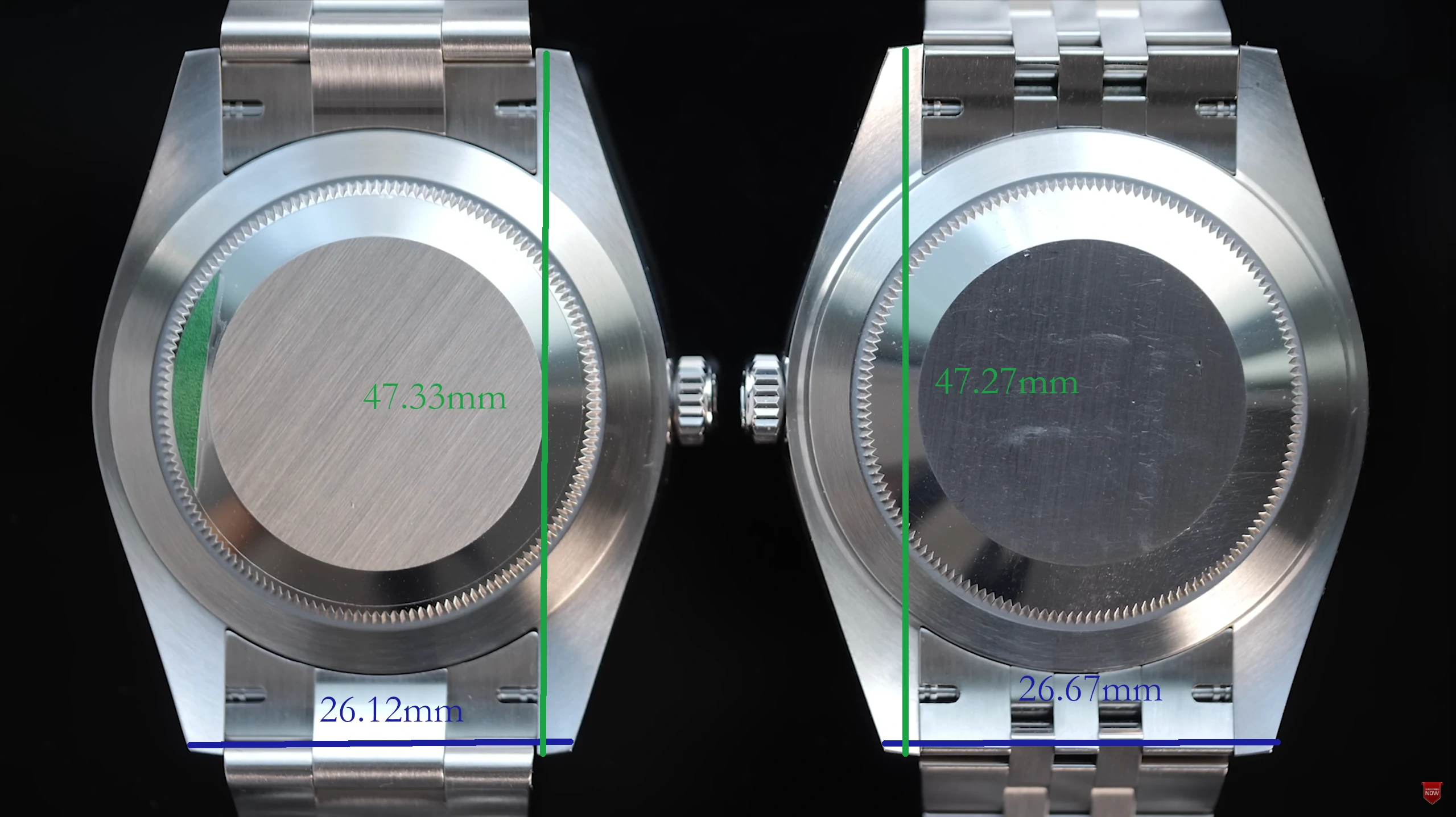 Rolex Datejust 41 vs Rolex Oyster Perpetual 41 lug to lug