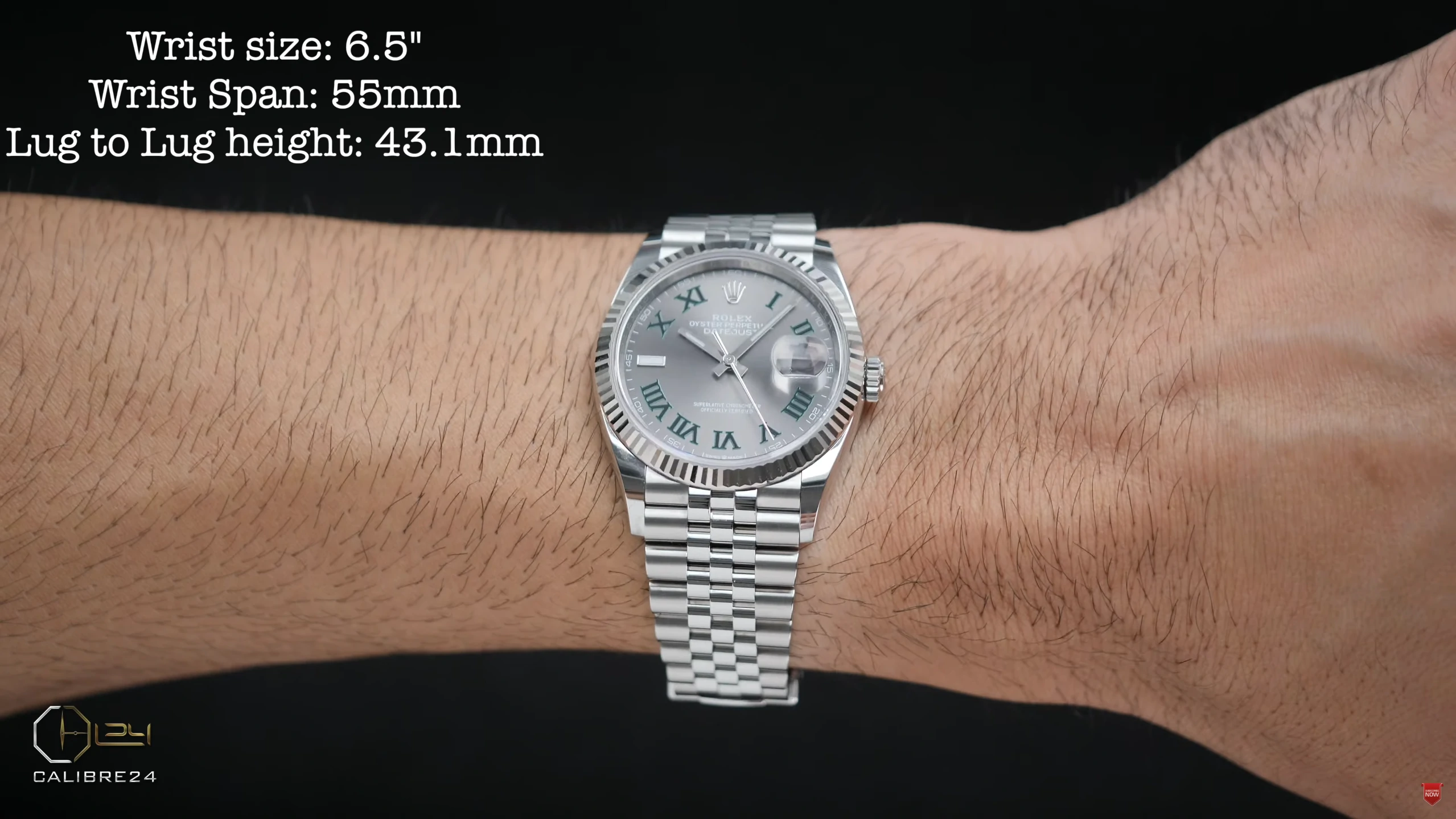 Datejust 36 on wrist